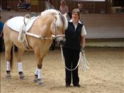 voltitag 2009 _CD2 117